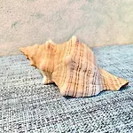 아파트 Casagliana 골푸아랑시